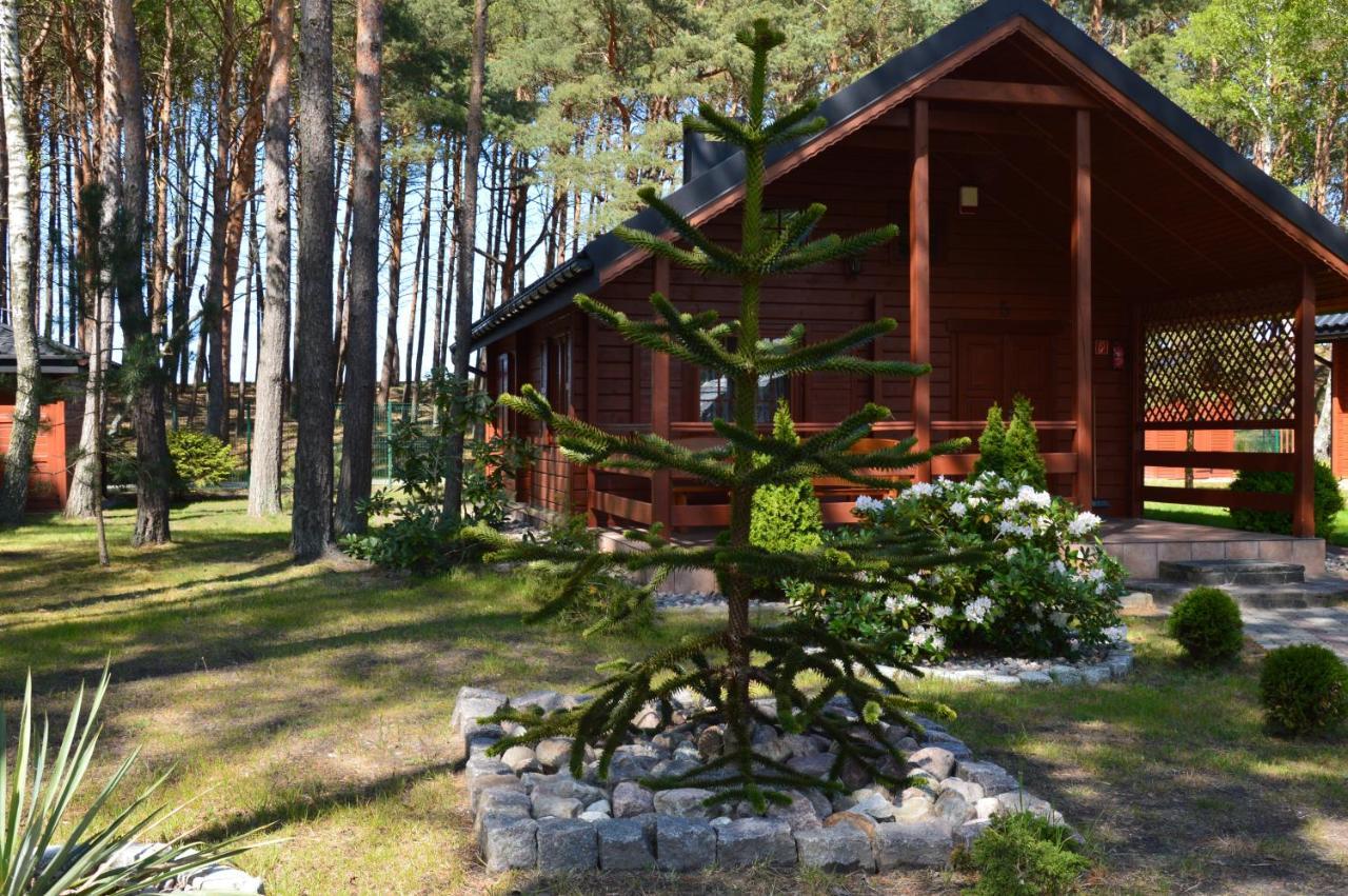 Domki Pod Wydmami 40M Od Plazy Дзвижино Экстерьер фото
